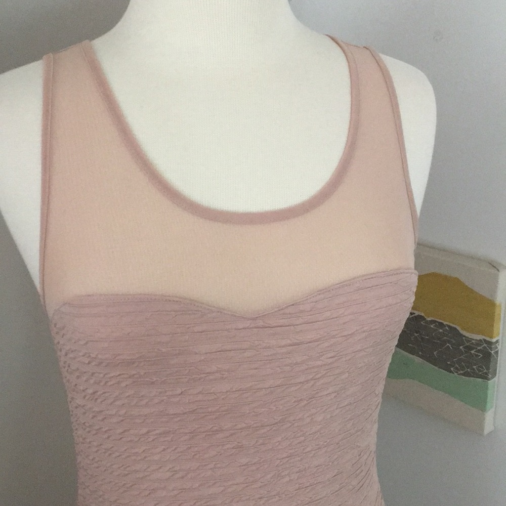 Sexy Nude Dress with mesh